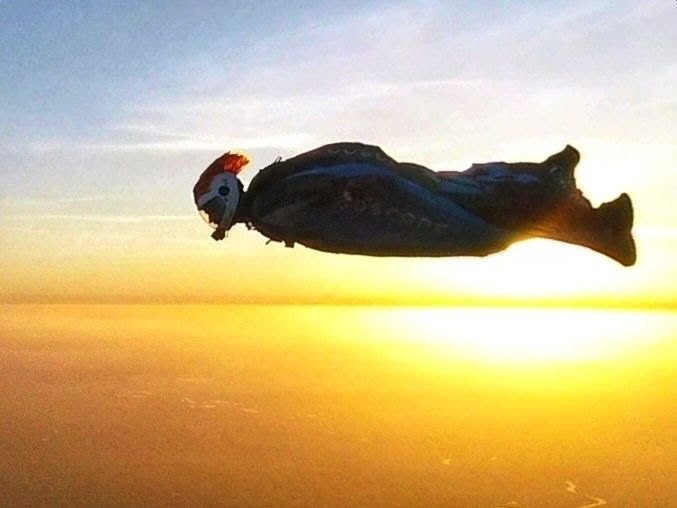 Wingsuit flight by the Leading Edge community